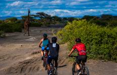 Circuit Cyclisme du Kilimandjaro au cratère du Ngorongoro