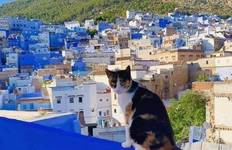 Circuit Excursions au Maroc : Le meilleur du Maroc - 15 jours