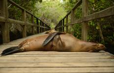 6-Day Galapagos Land Tour & Cabo Rosa - Los Tuneles Program Tour