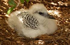 Circuit Richesses culturelles et naturelles de Madagascar