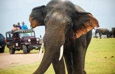 Circuit circuits de plusieurs jours au sri lanka 5 jours avec chauffeur privé, véhicule et hébergement H/B