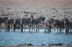 Circuit Afrique de l'Est Safari et; Côte