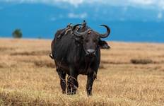 East Africa In-Depth Tour