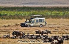 6 Days Highlights Of Africa Vacation Tour Package Tanzania Tour