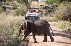 4 Day Taste of Tanzania Budget safari Tour