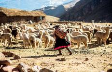 Circuit TRÉSORS INCAS - 6 JOURS