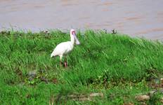 Circuit Safari de 9 jours à la découverte de la faune et de la flore du Kenya