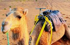 Circuit Circuit de 12 jours au Maroc depuis Marrakech