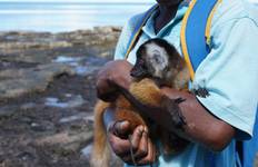 Madagascar Classic Tour 10D/9N Tour