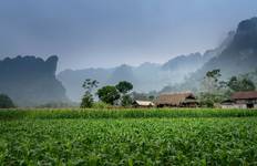 Circuit Le meilleur du Vietnam