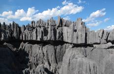 Circuit Découvrez l'unique à Madagascar - Lémuriens, Baobabs, Tsingy