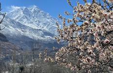 Blossom Tour nach Hunza Pakistan 2026 & 2027 Reise