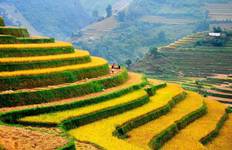 Circuit Odyssée du nord du Vietnam : Hanoi, Sapa, Mai Chau et la baie d'Halong 8 jours