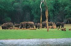 Circuit Circuit rapide Cochin Munnar Thekkady Alleppy Kovalam 8 jours