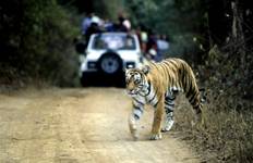 Circuit Circuit de luxe au Triangle d'Or avec Ranthambore