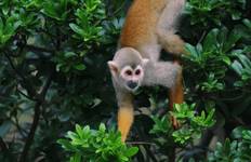 Rondreis Peru Juwelen - 10 Dagen (Lima - Cusco & Puerto Maldonado)