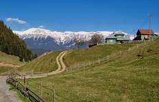 Transylvanian Village Life in the Carpathian Mountains: An Eco-Certified Experience Tour