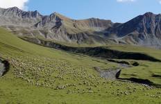 Circuit Circuit de groupe dans le Caucase - Géorgie, Arménie et Azerbaïdjan