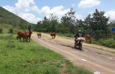 Circuit Meilleur circuit moto au Vietnam dans le delta du Mekong