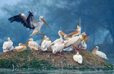 Circuit Circuit du Triangle d'Or avec la réserve ornithologique de Bharatpur et Varanasi