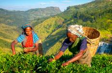 Explore and rest Sri Lanka, Private Car Tour Tour