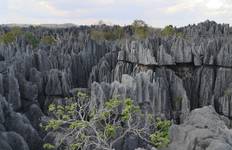 15 Days Details Madagascar ( Comfort) Tour