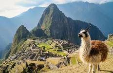 19-Day South America Trip Tour