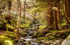 Circuit Le goût de l'Irlande (circuit B) - 6 jours/5 nuits (8 destinations)