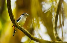 Who Else Wants To Know The Mystery Behind 12 Days Assam Wildlife Tour Packages? Tour