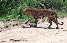 4 Day | Kruger National Park & Panorama Route Tour Tour