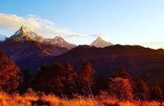 Circuit Trek court Ghorepani Poon Hill