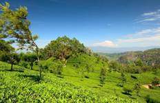 Circuit Itinéraire du Sri Lanka 11 jours/10 nuits