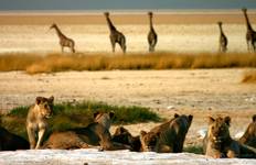 Circuit Aventure en Namibie - Confort - 5 jours / 4 nuits