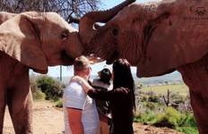 Circuit Odyssée sud-africaine 15 jours/14 nuits (Confort)