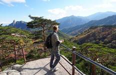 Korean World Heritage Adventure 11D/10N Tour