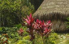 Circuit Expérience naturelle de Taironaka 3D/2N