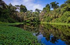 Sparangebot: Das Wesentliche aus Costa Rica Plus - 8 Tage Reise