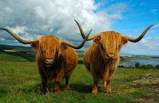 Taste of Scotland & Ireland - 11 Days/10 Nights (15 destinations) Tour