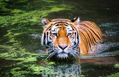 12 Days Adventurous Rajasthan Tour with Wildlife - Taj Mahal Sunset Sunrise Tour