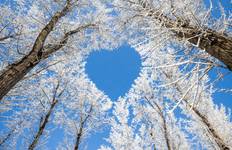 Circuit Arctic Winter Heartbeat | Aventure hivernale active
