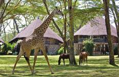 9-Day Kenya Wildlife Safari Experience Tour