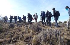Circuit Ascension du Kilimandjaro - Machame 6 jours + Chemka Hot Springs gratuit | Guides experts et éco-certifiés