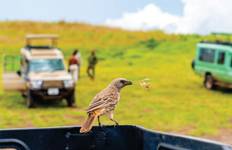 10-Day Budget Luxury Masai Mara Kenya Safari - Affordable Wildlife Trip & Beach Tour