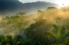 Costa Rica Wildlife Exploration Tour