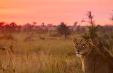 Circuit Grand safari dans le parc national Kruger et sur la route des panoramas en Afrique du Sud