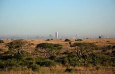 14-day Game Parks & Gorillas (Camping) Tour