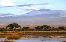 13-day Kenya & Tanzania Adventure (Camping) Tour