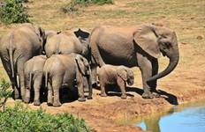 South Africa: From the Cape to Kruger Tour
