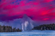 USA – 6 Days Yellowstone Winter Wildlife Adventure Tour
