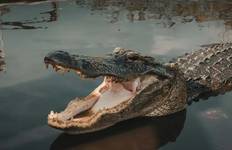 USA – 5 Days South Florida Highlights Miami to Key West Tour